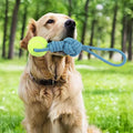 Dog Rope Toy Tug Outdoor Puppy Interactive Dog Toy 1 Knot with Tennis Ball