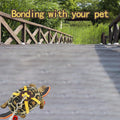 Turtles Playing and Training Toys Set, 1 Adjustable Tortoise Leash 2 Reptile Skateboards 2 Treat Ball, Turtle Fast Skate