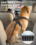 Joytale 3-in-1 Bungee Dog Seat Belt for Car, Medium and Large Dogs