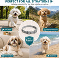 Craveit Flea and Tick Collar for Dogs, 4 Pack, Small Dogs Under 18 lbs