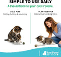 Raw Paws Catnip Balls for Cats (6-Count) - Interactive Indoor Cat Toy