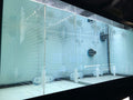 29gal Aqueon