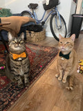 Ewinoom 2 Pack Soft Corduroy Cat Collars with Bow Tie & Bell, Adjustable Breakaway Cotton Kitty Bowtie Collar for Girl Boy Kitten (Orange & Green)
