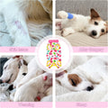 Coppthinktu Recovery Suit for Dogs After Surgery, Dog Onesie Surgery Recovery Suit for Female Spay, Soft Male Surgical Pajamas Bodysuits for Small Medium Puppy to Anti Licking Dog Cone Alternative