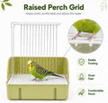 Automatic Bird Bath with Pump