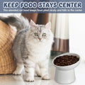Tanlade 4 Pcs Ceramic Raised Cat Bowls, Elevated Tilted Cat Bowl for Food Water, Stress Free, Backflow Prevention, Dishwasher Microwave Safe, Feeder Dish for Indoor Kitten, Small Dogs(White)