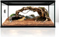 Reptile Glass Tank 20"*12"*10" Pre-Assembled Terrarium for Turtle,Hermit Crab,Bearded Dragon,Gecko,Lizard,Snake,Spider,F