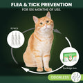 Flea and Tick Prevention for Cats: Flea & Tick Topical for Cats Over 1.5lbs, 6 Dose Flea and Tick Control/Prevention for