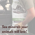 5 Pound (Pack of 1)