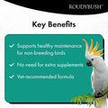 RoudyBush Daily Maintenance Food for Birds - Scientifically Formulated Bird Feed - Bird Food Pellets w/Corn, Wheat, Soy 