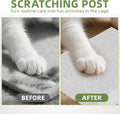 Kisangel Rabbit Lava Grinding Pad Natural Volcanic Stone for Small Pets