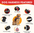 ESA Dog Vest Bundle with ID Tag and Informational Cards, Adjustable Emotional Support Dog Harness, S