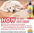 Bodhi Dog Not Here Spray - Trains Pets Where Not To Pee - Dog & Puppy Potty Training Spray to Stop Marking & Urinating I