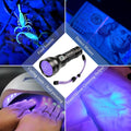 Grace Marci Rechargeable UV Flashlight, 51 LED 395nm Black Light, Ultraviolet Lite UV Light, Pet Urine Detector for Dog/Cat Urine, Dry Stains, Bed Bug, Resin Curing, Scorpions, Dry Pet Stains