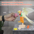 Bird Toys,Parrot Training Toys for Lovebird,Five-Types Parakeet Toys Sets for Conure, Cockatiel,5 PCS Parrot Intelligence Toy,Basketball Hoop,Skateboard,Stacking Toys,Wooden Block Bird Puzzles Toy