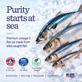 Pure Omega 3 Fish Oil for Dogs, Wild Caught from Iceland, Skin and Coat Supplement for Shedding, Dry Itchy Skin and Allergies, Rich in EPA + DHA with Omega 3, 6