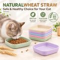 Cat Bowls Whisker Friendly Kitten Food and Water Plate, 10 Pack