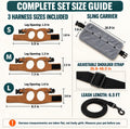 Bearded Dragon Leash & Harness Set with Travel Carrier Sling