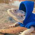 Lizards Clothes for Bearded Dragon - Handmade Cotton Hoodies Warm Sweater Coat Reptiles Apparel Costume Skin Protection 