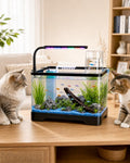 3 Gallon Betta Fish Tank Starter Kit - Negative Pressure Acrylic Aquarium