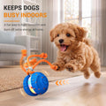 Pamlulu Interactive Dog Toy for Small & Medium Dogs, Fun Enrichment Puppy Toy to Keep Them Busy, Automatic Moving Dog Ba