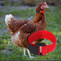 4Pcs Crow Rooster Collars, Adjustable Nylon Anti-Noise Neck Belt for Chickens and Poultry Birds, Humane Crow Collar to P