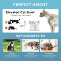 Necoichi Elevated Cat Water Bowl – Ceramic Raised Cat Bowl, Prevents Neck & Whisker Fatigue – Dishwasher & Microwave Safe – Pet Water Bowl for Cats (Cat, Regular)