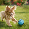 Chuckit! Sniff Ball Dog Toy, Durable High Bounce Bacon and Peanut Butter Scented Rubber Dog Ball Fetch Toy, Medium, 2 Pack