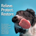 1-TDC Periodontal Supplement ES for Dog & Cat, Supports Oral, Hip & Joint Health, Muscle & Stamina Recovery, Skin & Coat