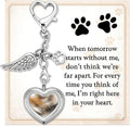 Dog Memorial Gift for Loss of Dog, Pet Hair Keepsake with Angel Wing Charm, Rainbow Bridge Sympathy Gift for Grieving Pe