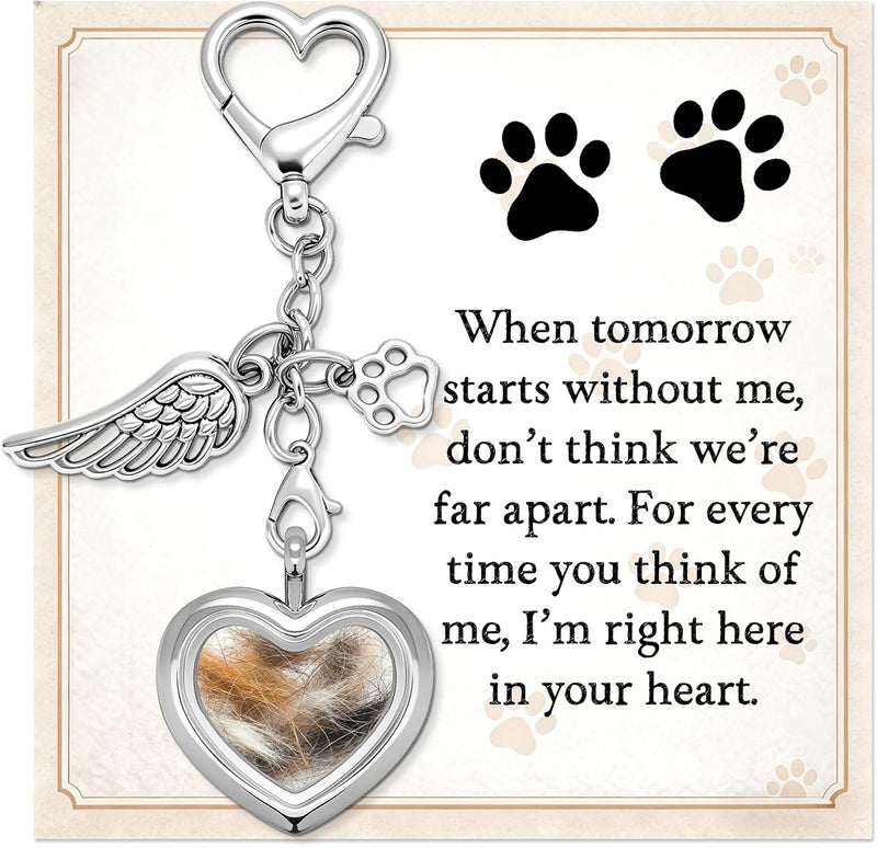 Dog Memorial Gift for Loss of Dog, Pet Hair Keepsake with Angel Wing Charm, Rainbow Bridge Sympathy Gift for Grieving Pe