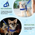 Lukovee No Pull Dog Harness and Leash Set, Soft Padded Small Dog Harness, Neck & Chest Adjustable Reflective Vest Puppy Harness with 4ft Lightweight Anti-Twist Dog Leash for Small Dogs (XS, Blue)
