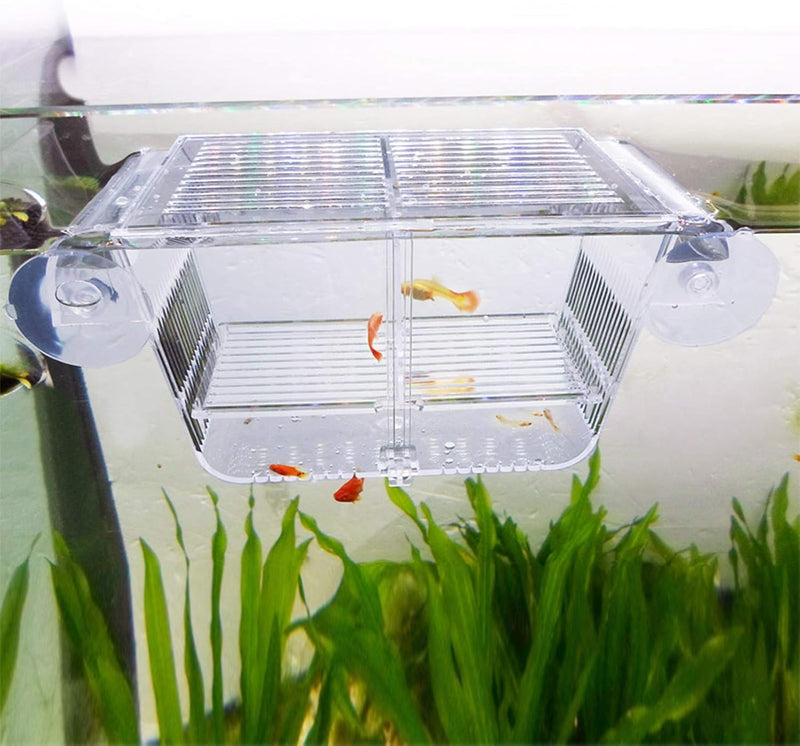 capetsma Fish Breeding Box, Acrylic Fish Isolation Box with Suction Cups, Aquarium Acclimation Hatchery Incubator for Ba