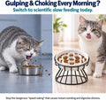 Raised Slow Feeder Cat Bowl - Ceramic Cat Slow Feeders with Stand - White