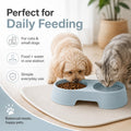 Pet Food and Water Bowl, Double Feeding Bowls, Small Grey, for Cats and Small Dogs, Portable Pet Accessories