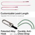 Hands Free Cat Leash Lightweight Adjustable Padded Handle