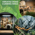 DBNESS Snake Climbing Rings, Ball Python Enclosure Enrichment Ring, Adjustable Playground Terrarium Decor Accessories fo