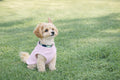 JACKO & CO - Fleece Vest Dog Sweater with Leash Ring - Soft, Warm & Lightweight Pullover Coat for Small & Medium Dogs, Puppies & Cats - Cozy Fall/Winter/Spring Pet Jacket (Pink Lemonade, L 10-16lbs)