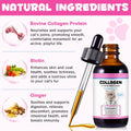 Collagen for Cats, Cat Collagen Liquid Drops for Cats with Biotin, MSM & Ginger Digestive & Immunity Support, Itch Relief, Skin & Coat and Joint Health, Cat Supplement 60ml