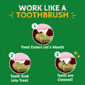 Just Try Cat Treats for Indoor Cats Hairball Control Natural Salmon Healthy Cat Grass Treats Kitten Snacks Training Biscuits Catnip for Cats Dental Care 13.4 OZ