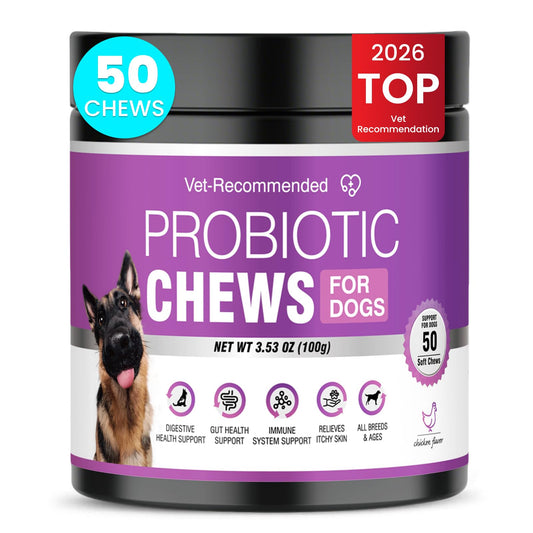 Probiotics for Dogs Dog Probiotics for Digestive Health Probiotic for Dogs Gut Health Itchy Skin Dog Probiotics for Diarrhea Dog Constipation Relief Gas for Dogs Immune Support Chicken Flavor 50ct