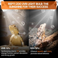 REPTI ZOO UVB Light for Desert Reptile 2 Pack, 10.0 26W UVA UVB Reptile Light Bulb, UVB Spiral Compact Lamp for Bearded 