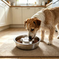Stainless Steel Slow Feeder Dog Bowls,Slow Food Bowl for Dog & Cat - 1 Cups Capacity,Paw-Shaped Design Pet Food Holder,M