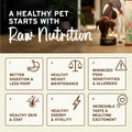 Primal Goat Milk Powder for Dogs and Cats, Shelf Stable Food Topper with Probiotics for Digestion, Hydration, and Immune Support, Original Recipe 5.2oz Pouch