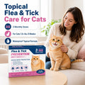 Topical for Cats – Topical Flea & Tick Care – for Cats 1.5+ lbs, 8 Weeks+,3 Monthly Doses