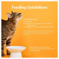 Made by Nacho Flaked Filets Recipe in Bone Broth, Grain-Free Chef's Selects Wet Food for Cats Balanced Diet in Naturally