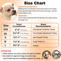 Dog Muzzle for Small Medium Large Dogs Soft Air Mesh Muzzles