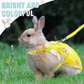 3 Sets Rabbit Bunny Harness and Leash Gift, Cake, Animal, Pineapple