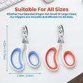 Xindojuz 2 PCS Professional Stainless Steel Bearded Dragon Nail Clippers
