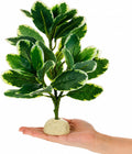 EupHHonycs Reptile Plants Artificial Leaves Reptile Tank Decorations